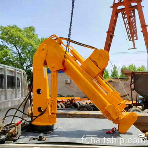 Petite grue à boom à articulations hydrauliques